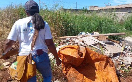 SES divulga 1º LIRAa de 2026 e detalha risco de arboviroses em cidades de MS