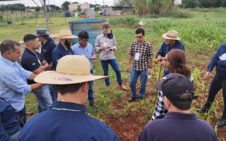 MS Irriga fortalece qualificação técnica e impulsiona uso sustentável da água no campo