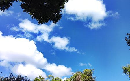 Confira: Domingo tem previsão de chuva em parte de MS e temperaturas de até 35°C