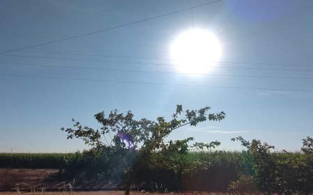 Confira: Sexta-feira (24) será de calor intenso, tempo seco e baixa umidade em MS