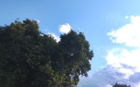 De olho: Domingo será de calor e pancadas isoladas de chuva em Mato Grosso do Sul