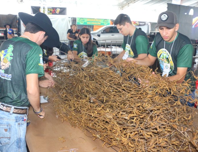 Evento: Pé de Soja Solteiro será de 24 a 26 de abril em Laguna Carapã