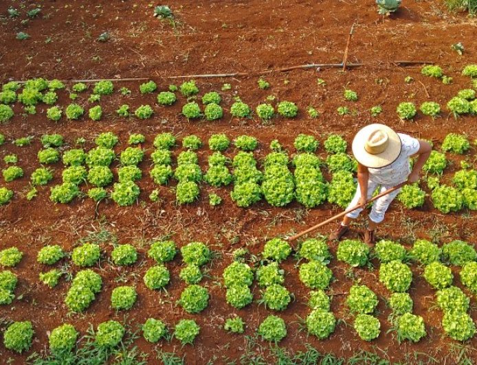 Agraer fortalece acesso ao crédito rural em projetos que abrem oportunidades a quem trabalha no campo