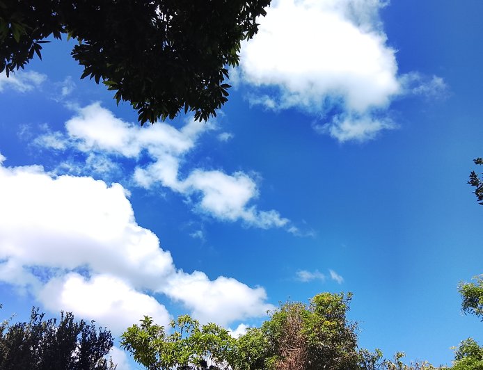 Confira: Domingo tem previsão de chuva em parte de MS e temperaturas de até 35°C