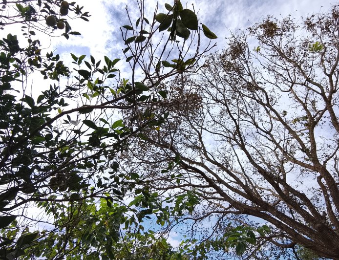 Olho no tempo: Feriado de Tiradentes será sol, aumento de nuvens e risco de tempestades em MS