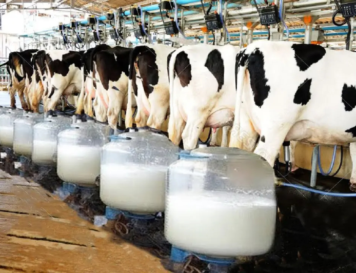 Benefício: CMN libera linha de capital de giro a cooperativas de leite no Pronaf