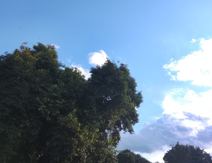 De olho: Domingo será de calor e pancadas isoladas de chuva em Mato Grosso do Sul