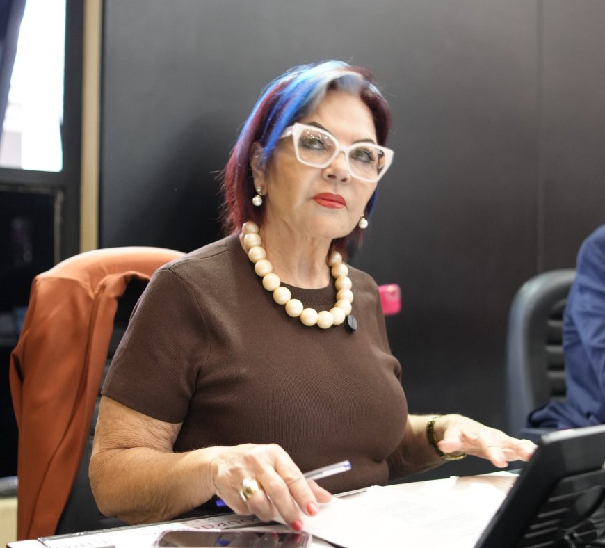 Lourdes Monteiro pede faixa elevada em escola e vistoria para tapa-buracos em Ponta Porã