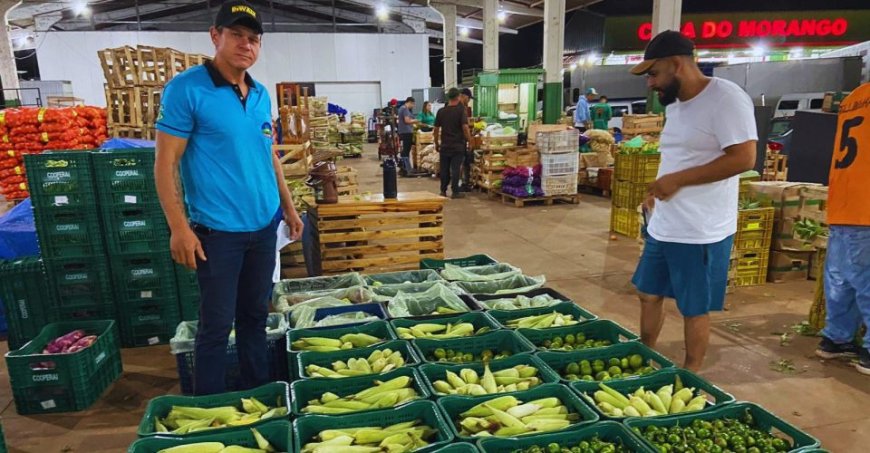 Rota: Produtor percorre mais de 320 km toda semana para vender hortaliças do Itamarati em Campo Grande