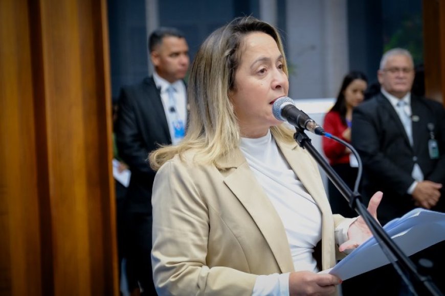 Ações de enfrentamento à violência contra a mulher poderão ser estendidas à rede particular