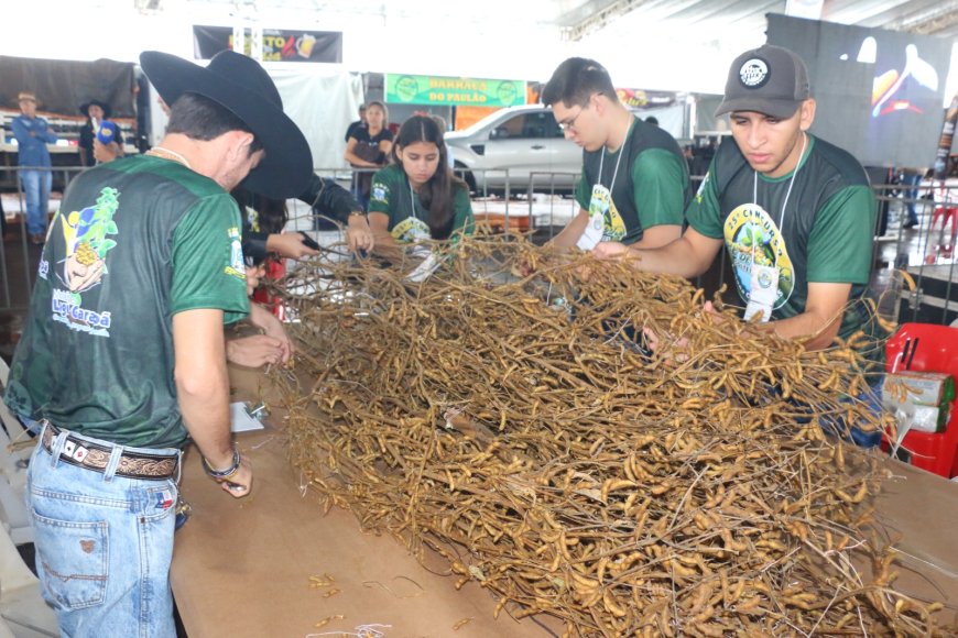 Evento: Pé de Soja Solteiro será de 24 a 26 de abril em Laguna Carapã
