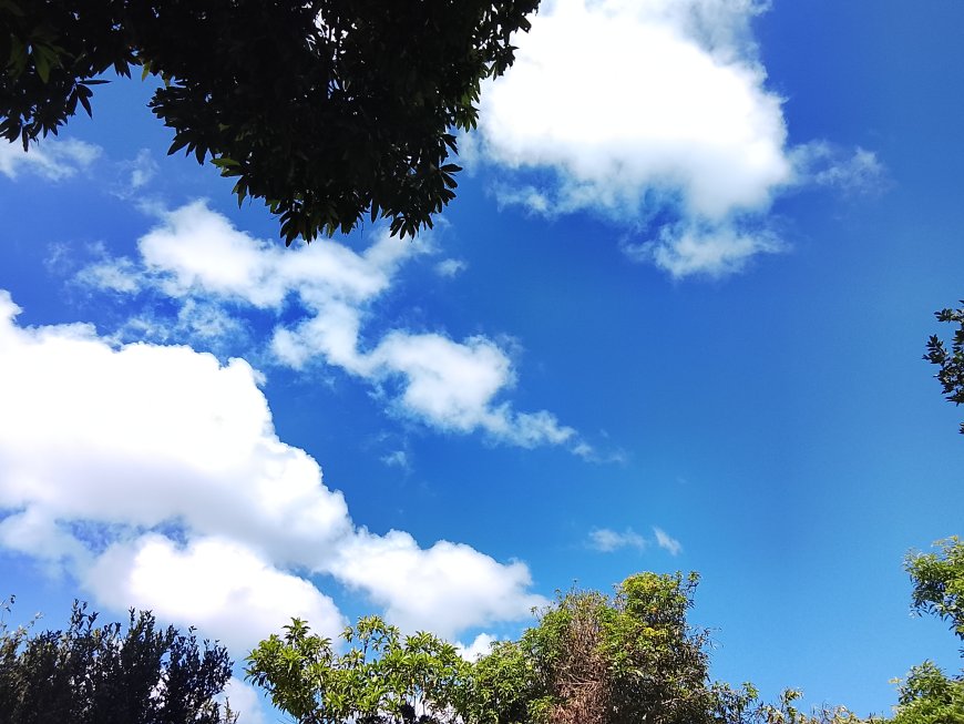 Confira: Domingo tem previsão de chuva em parte de MS e temperaturas de até 35°C