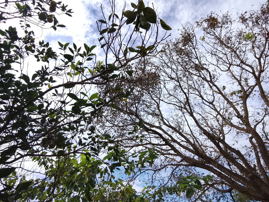 Olho no tempo: Feriado de Tiradentes será sol, aumento de nuvens e risco de tempestades em MS