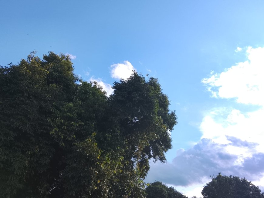 De olho: Domingo será de calor e pancadas isoladas de chuva em Mato Grosso do Sul