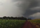 De olho: Alerta de tempestade coloca 31 cidades de MS sob risco de granizo e ventos fortes