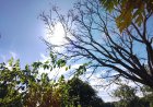A caminho: Tempo frio avança e mínimas chegam a 4ºC em MS