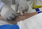 SES divulga nota reforçando vigilância e MS segue sem casos confirmados de hantavirose há 7 anos