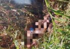 Ponta Porã: Pai reconhece corpo de mulher encontrada morta às margens de rio