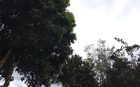 Início da semana: Domingo (3) será de tempo firme e temperaturas elevadas em Mato Grosso do Sul