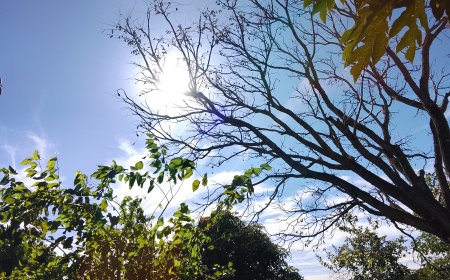 A caminho: Tempo frio avança e mínimas chegam a 4ºC em MS