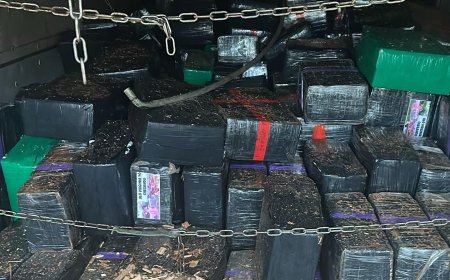 PF, DEF e PRF em ação: Operação conjunta apreende mais de 10 toneladas de maconha
