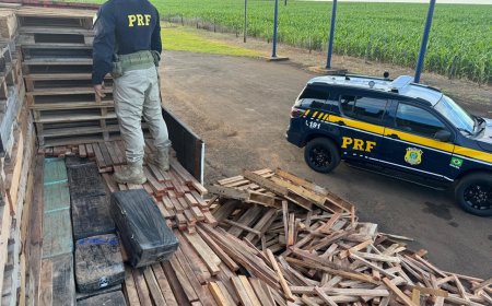 Em meio a paletes: Com ajuda de cão farejador, PRF apreende mais de uma tonelada de maconha em Caarapó