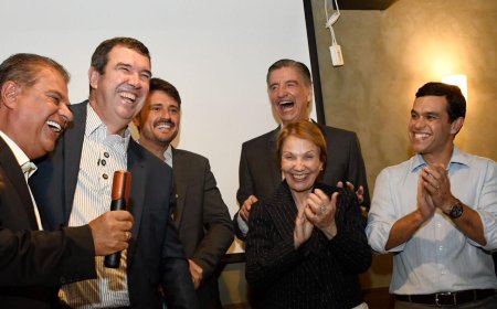 Senador Nelsinho Trad recebe cerca de 40 prefeitos em Brasília e ganha manifestações de apoio pela atuação municipalista em MS