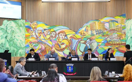 Vereadores destacam importância da  audiência para prestação de contas