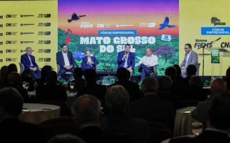 Mato Grosso do Sul cria cenário industrial de sucesso, com geração de empregos e destaque nacional
