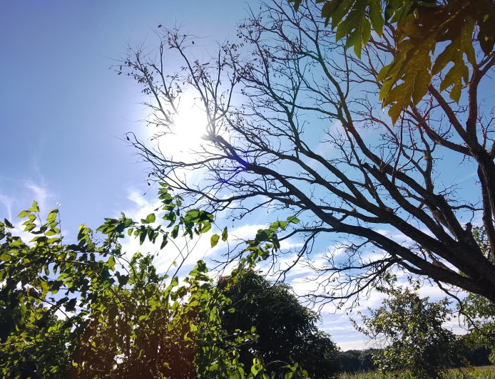 A caminho: Tempo frio avança e mínimas chegam a 4ºC em MS