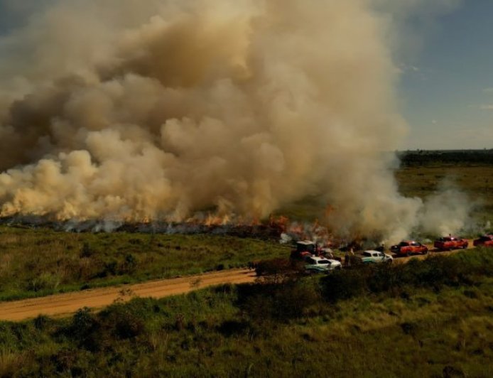 Para conservar e proteger biomas, Governo de MS realiza técnica de queima prescrita em parque estadual