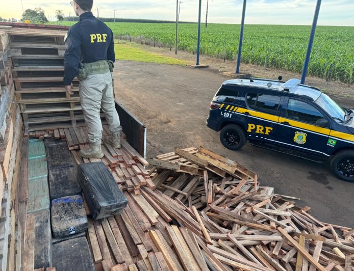 Em meio a paletes: Com ajuda de cão farejador, PRF apreende mais de uma tonelada de maconha em Caarapó