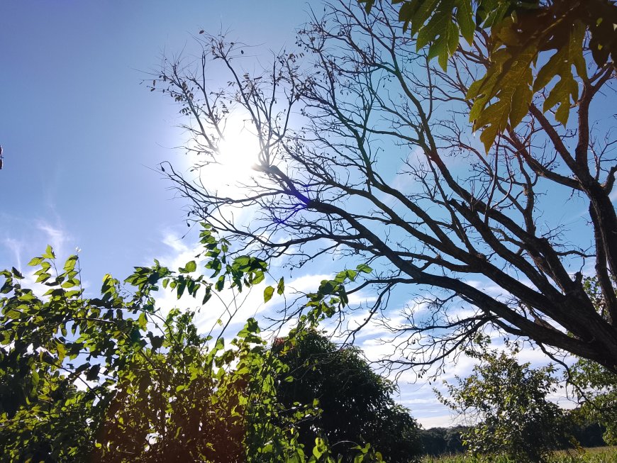 A caminho: Tempo frio avança e mínimas chegam a 4ºC em MS