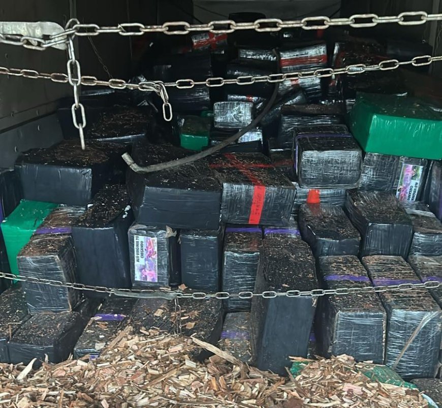 PF, DEF e PRF em ação: Operação conjunta apreende mais de 10 toneladas de maconha