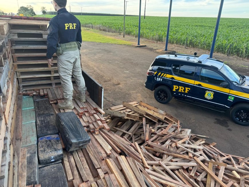 Em meio a paletes: Com ajuda de cão farejador, PRF apreende mais de uma tonelada de maconha em Caarapó