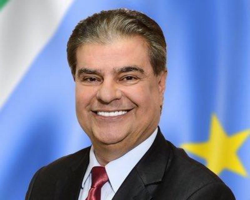 Senador Nelsinho Trad usa Comissão do Senado como ponte para atrair investimentos a MS