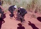 Amambai: Família acusa milícia de tortura em aldeia de Mato Grosso do Sul