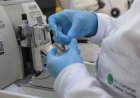 Tratamento: SUS inclui nova terapia para pacientes adultos com leucemia mieloide