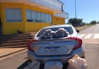 Combate: Mulher é presa transportando drogas na MS-156 e viajava acompanhada da filha adolescente