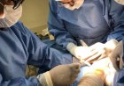 Interiorização da saúde aproxima pacientes do tratamento ortopédico especializado em Ribas do Rio Pardo