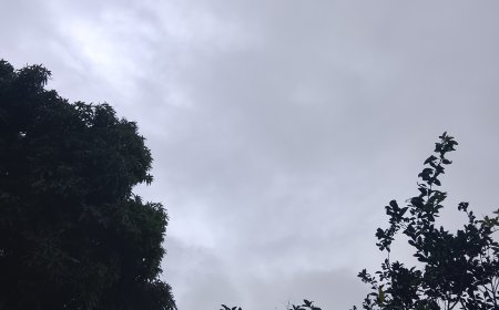 Mato Grosso do Sul: Domingo será de instabilidade