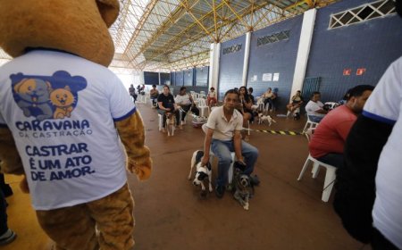 Iniciativa de sucesso, Caravana da Castração conclui atividades na próxima quarta em Paraíso das Águas