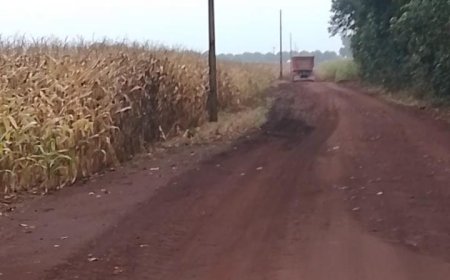 Apenas 0,2% da área foi colhida: Chuvas atrasam colheita do milho em MS