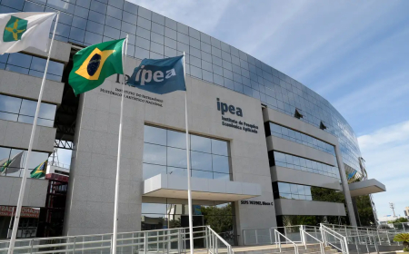 No serviço público: Ipea atualiza plataforma antirracista