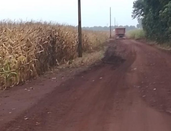 Apenas 0,2% da área foi colhida: Chuvas atrasam colheita do milho em MS