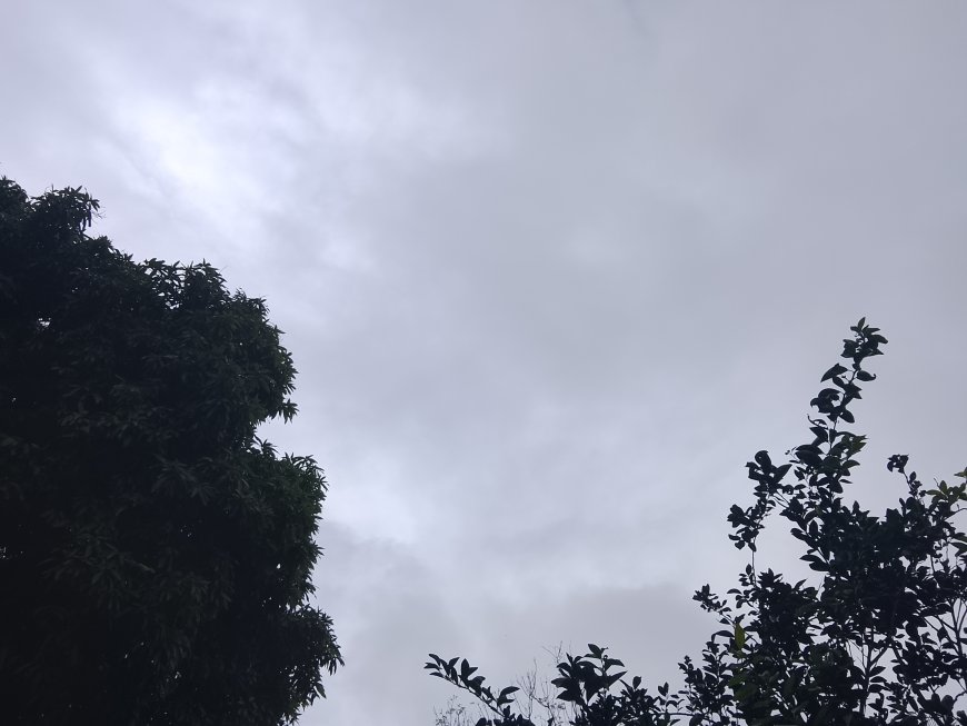 Mato Grosso do Sul: Domingo será de instabilidade