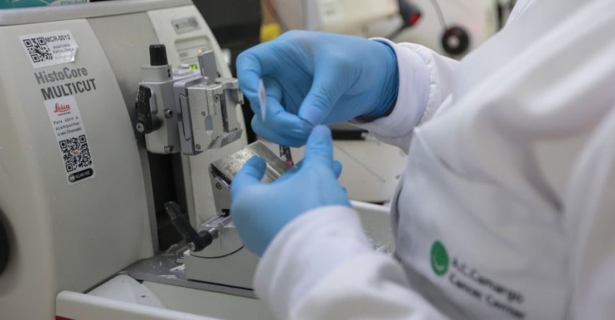 Tratamento: SUS inclui nova terapia para pacientes adultos com leucemia mieloide