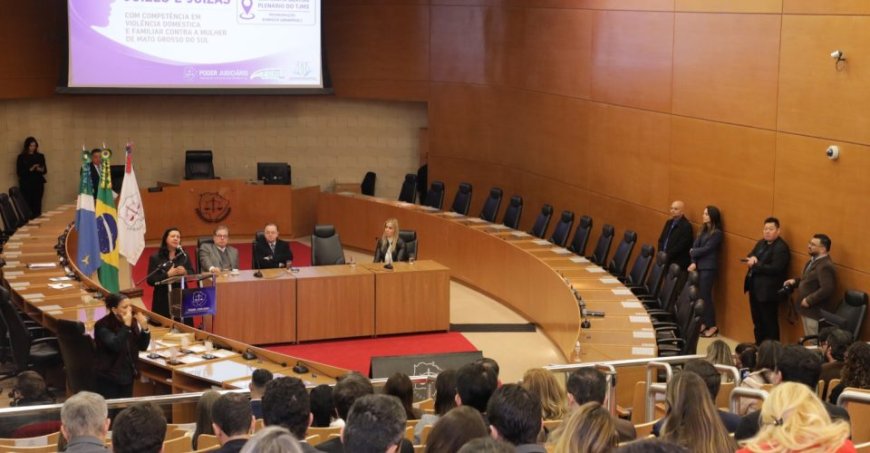 Judiciário de MS: Abre encontro para fortalecer combate à violência doméstica contra a mulher