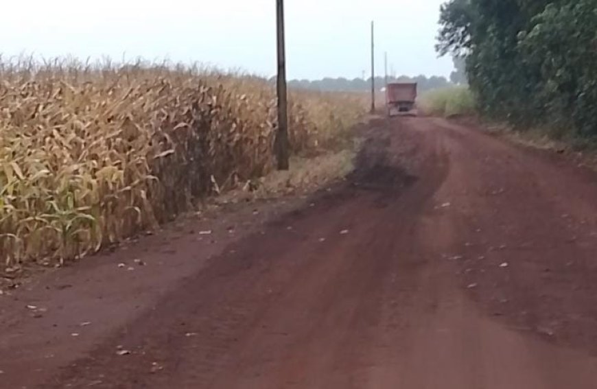 Apenas 0,2% da área foi colhida: Chuvas atrasam colheita do milho em MS