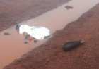 Motociclista é encontrado morto às margens da BR-463 em Ponta Porã